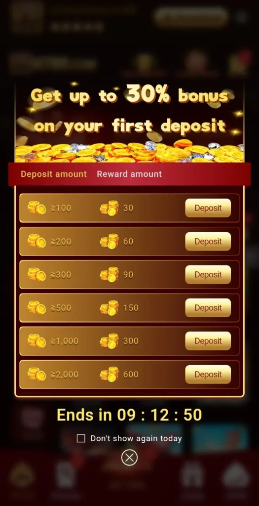 Z3 Bet Game VIP Bonus and rewards system.
